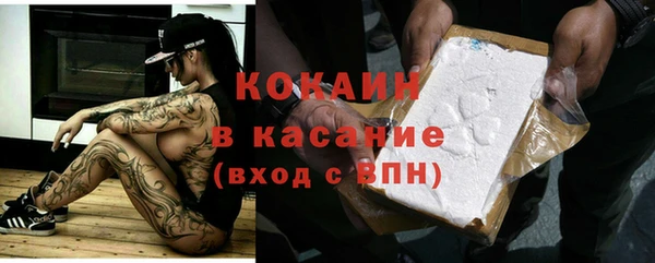 индика Алексеевка