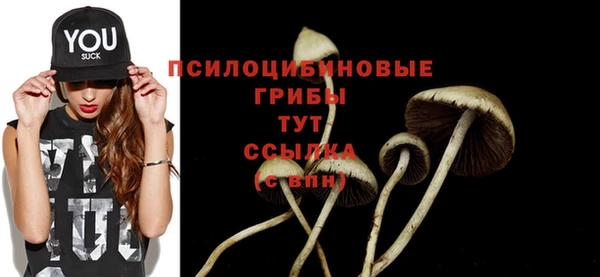 круглые Алзамай