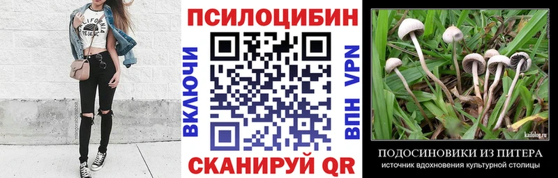 Галлюциногенные грибы MAGIC MUSHROOMS  Навашино 